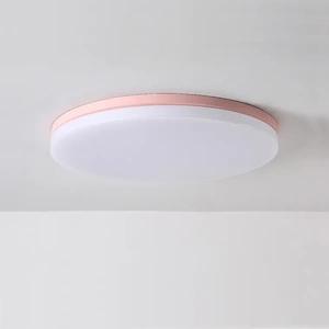 Изображение Потолочный Светильник Disc Half D38 Pink By Imperiumloft