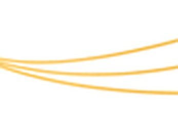 X420 24V 4mm 10 W/m изображение