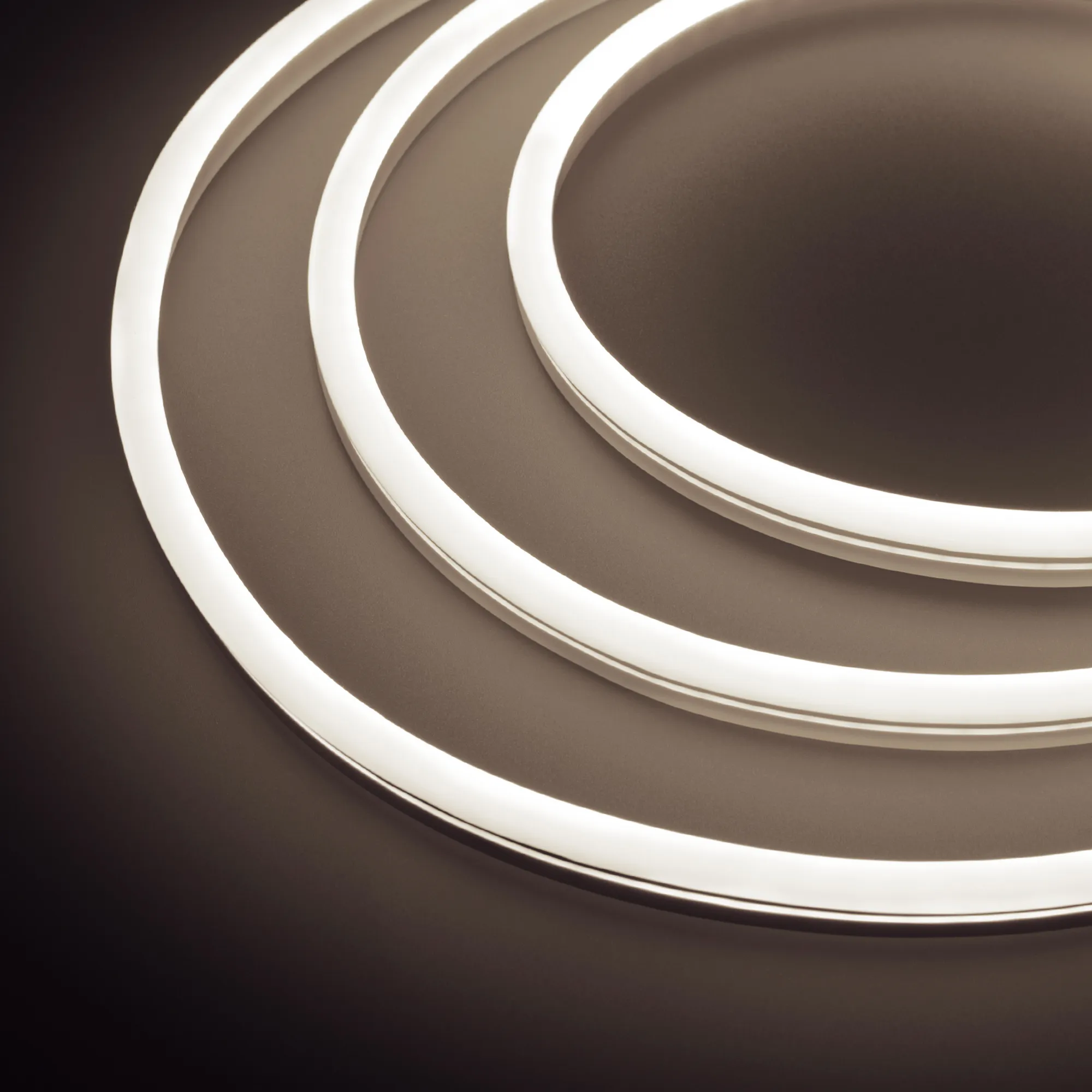 Образец Гибкий неон GALAXY-1608-5000CFS-2835-100 12V Day 0.5M (16x8mm, 12W, IP67) (Arlight, 12 Вт/м, IP67)